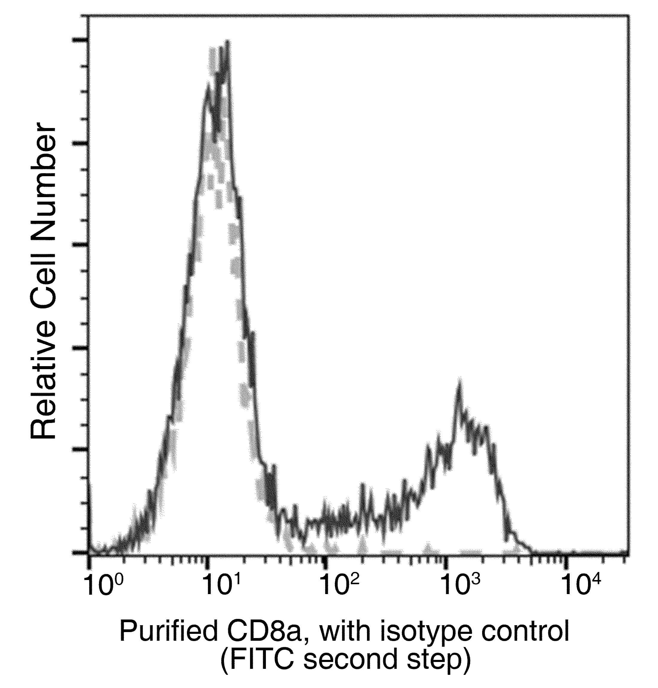 CD8A / CD8 Alpha Antibody (clone 48, Preservative Free)