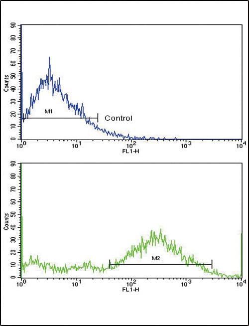 MVP / VAULT1 Antibody (aa863-893)