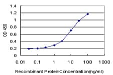 Monoclonal Mouse anti-Human POLR3D Antibody (clone 4E6)