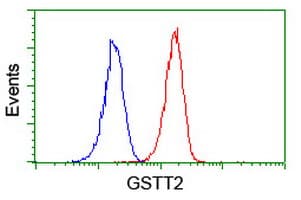 GSTT2 Antibody (clone OTI3B6)