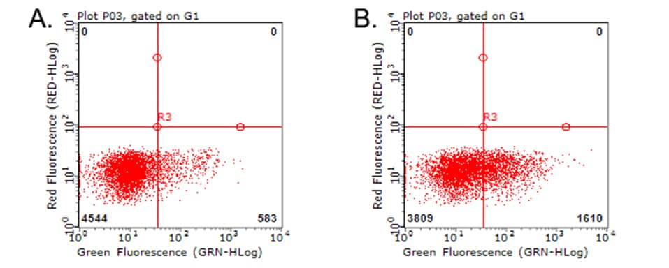 TNFRSF9 / 4-1BB / CD137 Antibody (clone OTI6D7)