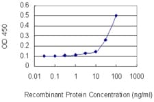 BCL2L2 / Bcl-w Antibody (clone 2E4)