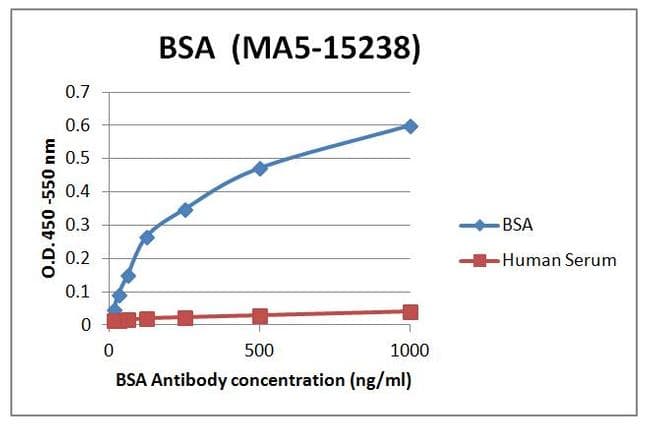 Bovine Serum Albumin Antibody (clone 3G3A2)