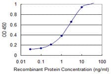 DFFA / ICAD / DFF45 Antibody (clone 3A11)