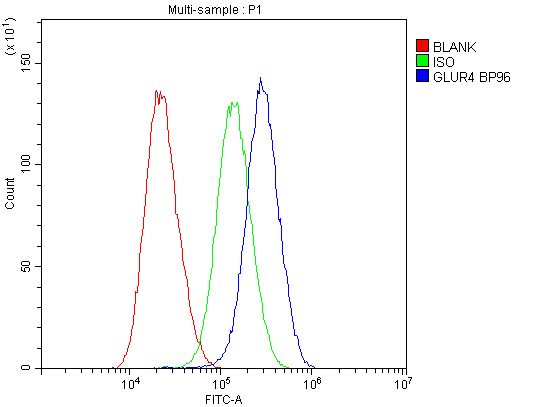 GRIA4 / GLUR4 Antibody (aa176-350)
