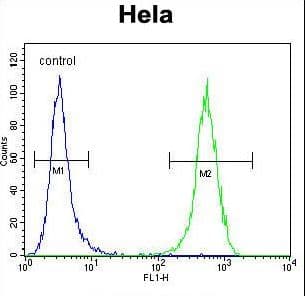 IHC-plus™ PS20 / WFDC1 Antibody (aa148-177)