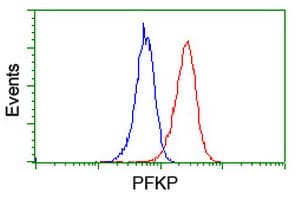 PFKP Antibody (clone OTI1A11)