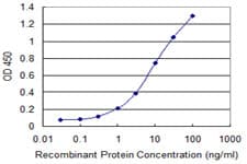IHC-plus™ Monoclonal Mouse anti-Human SLC4A1 / Band 3 / AE1 Antibody (clone 2D5, IHC, IF, WB)