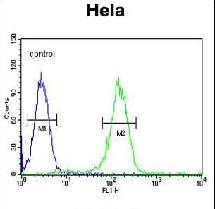 CCNH / Cyclin H Antibody (aa269-299)