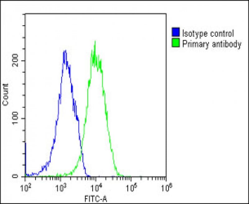 EIF2B3 Antibody (clone 1778CT889.66.6.54)