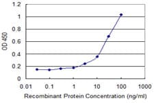 Monoclonal Mouse anti-Human CYB5R3 / B5R Antibody (clone 2A9)