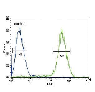 Polyclonal Rabbit anti-Human CNR2 / CB2 Antibody (aa329-356, IHC, WB)