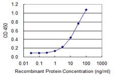 INPP1 Antibody (clone 4F9)