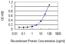 HBA1+2 / Hemoglobin Alpha Antibody (clone 4F9)
