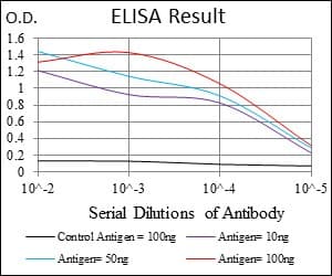 G6PDH Antibody (clone 2H7)