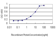 ER81 / ETV1 Antibody (clone 2A8)