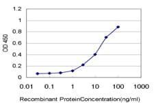 Monoclonal Mouse anti-Human CD34 Antibody (clone 5F3, WB)
