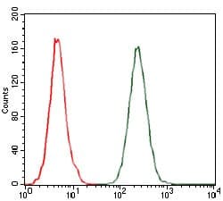Monoclonal Mouse anti-Human CCL2 / MCP1 Antibody (clone 2D8, IHC, IF, WB)