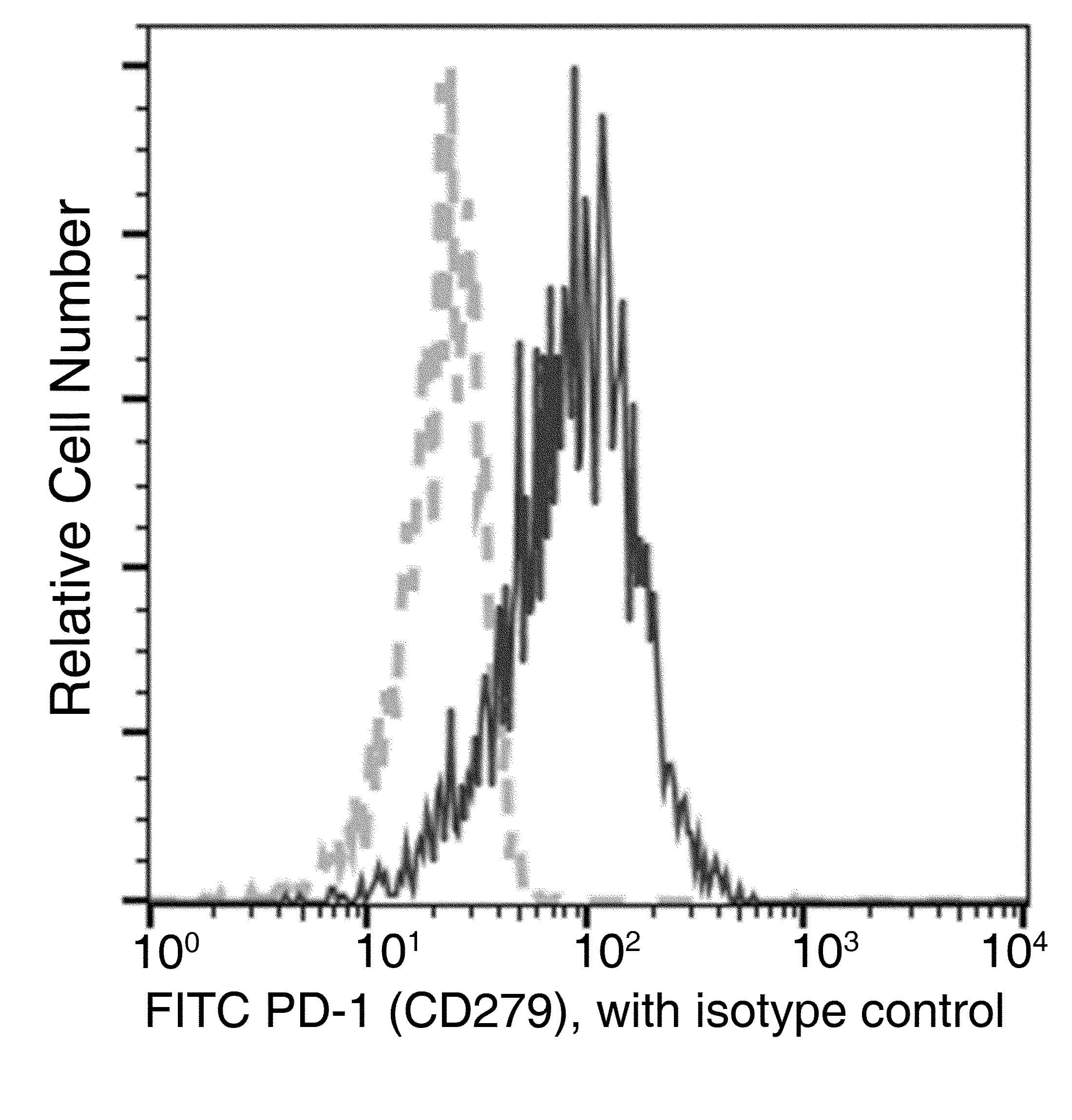 PDCD1 / CD279 / PD-1 Antibody (clone A04, FITC)