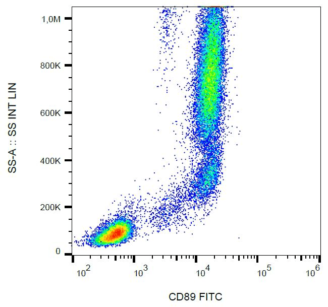 FCAR / CD89 Antibody (clone A59, FITC)