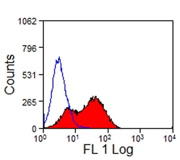 Monoclonal Rat anti-Mouse HAVCR2 / TIM-3 Antibody (clone RMT3-23, IHC, IF)