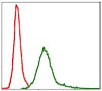 BIRC5 / Survivin Antibody (clone 1H5)