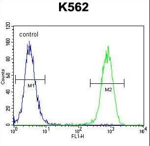 SMARCA5 / SNF2H Antibody (aa946-975)