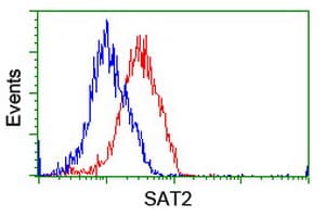 SAT2 Antibody (clone OTI1C9)