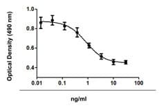 Human TGFB2 / TGF Beta2 Protein (Recombinant)