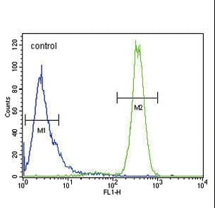 IHC-plus™ CDKN2D / p19 INK4d Antibody (aa15-43)