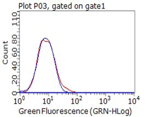 CD80 Antibody (clone OTI11G5)