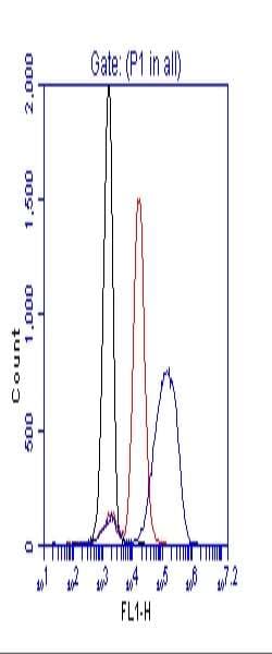 Polyclonal Rabbit anti-Human ZAP70 Antibody (phospho-Tyr319)