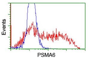 PSMA6 Antibody (clone OTI7C2)
