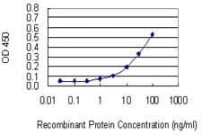 CUL3 / Cullin 3 Antibody (clone 1A3)