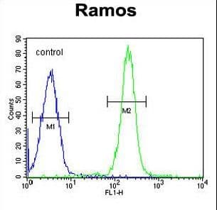 Polyclonal Rabbit anti-Human TTC9C Antibody (aa1-30, IHC, WB)