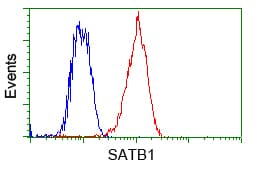 SATB1 Antibody (clone OTI3E12)