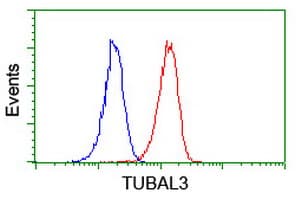 TUBAL3 Antibody (clone OTI1D7)