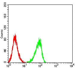 CD72 Antibody (clone 2F3B8)