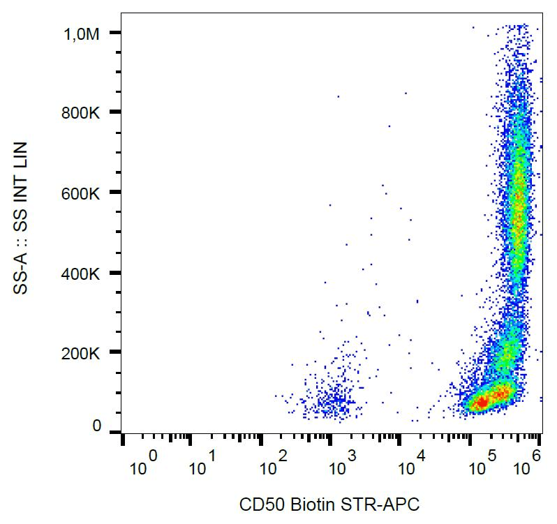 ICAM3 / CD50 Antibody (clone MEM-171, Biotin)