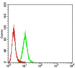 P2RY12 / P2Y12 Antibody (clone 1C2A9)