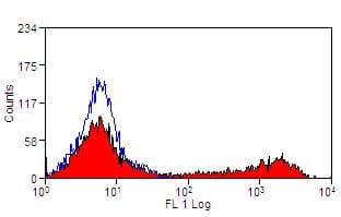 HLA-DQ Antibody (clone CC158)