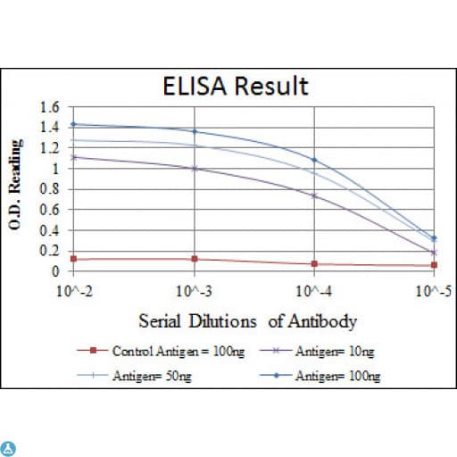 ATF2 Antibody
