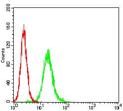 Monoclonal Mouse anti-Human APP / Beta Amyloid Precursor Antibody (clone 5H10A10, WB)