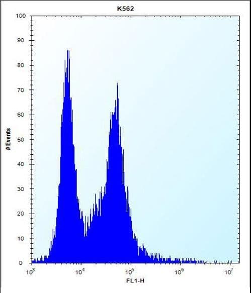 Polyclonal Rabbit anti-Human PI15 Antibody (aa34-63, IHC, WB)