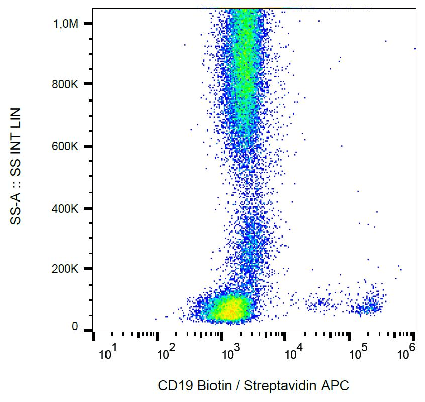 Monoclonal Mouse anti-Human CD19 Antibody (clone LT19, Biotin)