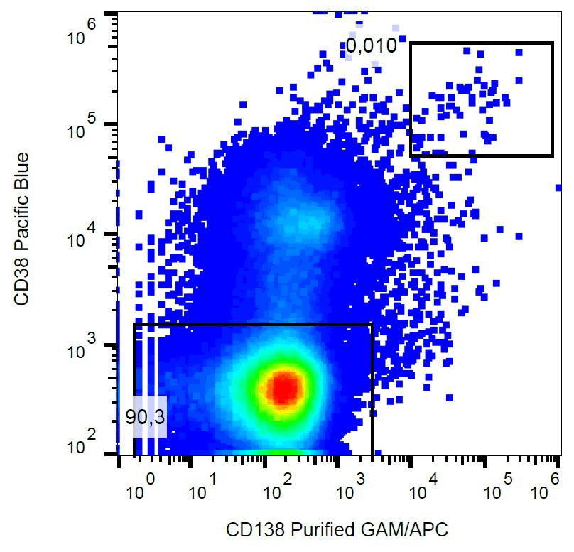 SDC1 / Syndecan 1 / CD138 Antibody (clone MI15)