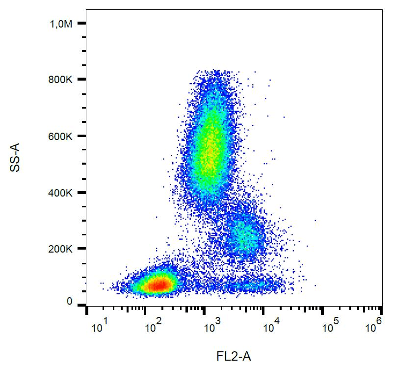 CD39 Antibody (clone TU66, PE)