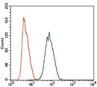 HIWI2 / PIWIL4 Antibody (Amino Acid: 304-434, clone 10G9B11)