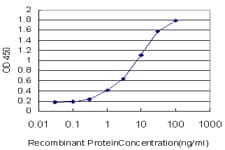 SCN2B Antibody (clone 2G11-C12)