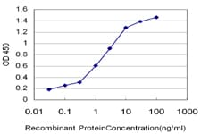 IHC-plus™ Monoclonal Mouse anti-Human HMG2 / HMGB2 Antibody (clone 3D2, IHC, IF, WB)